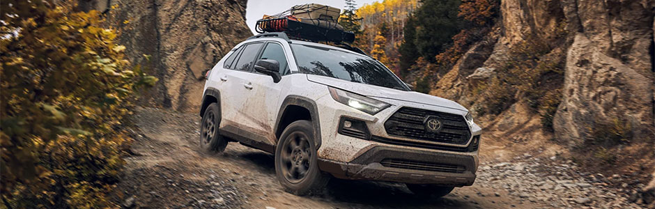 2022 Toyota RAV4 Exterior